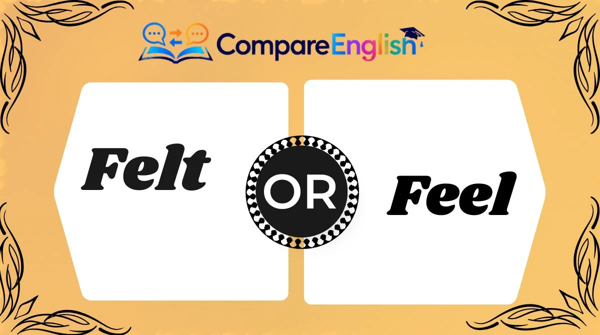 Felt or Feel